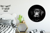 WallCircle - Wandcirkel - Muurcirkel - Hond - Licht - Zwart - Aluminium - Dibond - ⌀ 90 cm - Binnen en Buiten