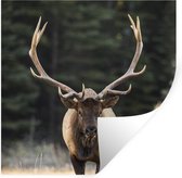 Stickers muraux - Cerf - Arbre - Bois - 100x100 cm - Film adhésif XXL