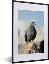 Photo dans le cadre - Un pigeon est assis sur un cadre photo en pierre noir avec passe-partout blanc, moyen 40x60 cm - Affiche dans le cadre (Décoration murale salon / chambre)