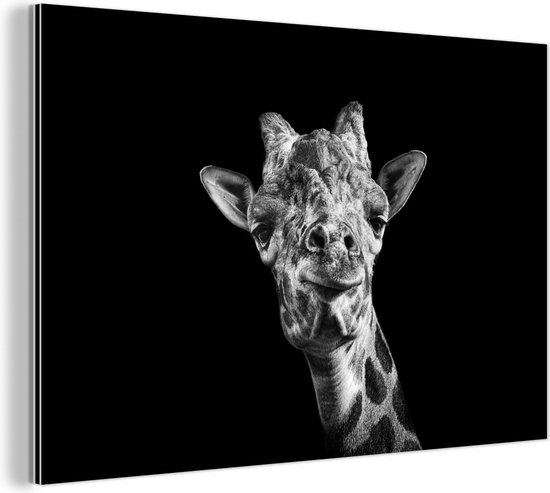 Wanddecoratie Metaal - Aluminium Schilderij Industrieel - Giraffe tegen zwarte achtergrond in zwart-wit - 150x100 cm - Dibond - Foto op aluminium - Industriële muurdecoratie - Voor de woonkamer/slaapkamer