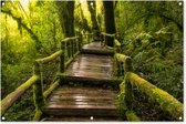 Tuinposter - Tuindoek - Tuinposters buiten - Mooi regenwoud en jungle - 120x80 cm - Tuin