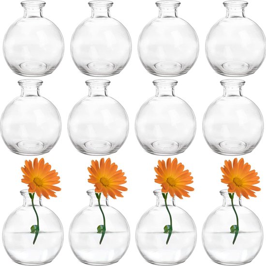 Set van 12 kleine glazen bollen, unieke mini-bloemenvaas, lage zittende bloemenvaas, heldere bloem centerpieces voor woondecoratie, bruiloften, bloemstukken, evenementen, feesten
