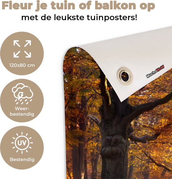 Affiche de jardin Automne - Forêt - Arbre - 120x80 cm - Jardin