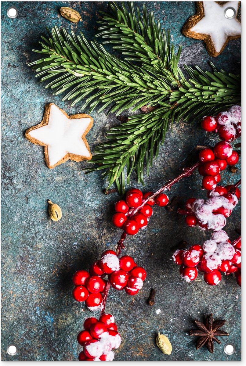 Tuindecoratie Kerst - Rustiek - Takken - Steranijs - Bes - Rood - 40x60 cm - Tuinposter - Tuindoek - Buitenposter