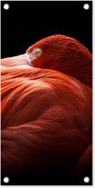 Tuinposter Flamingo - Veren - Roze - 30x60 cm - Tuindoek - Buitenposter