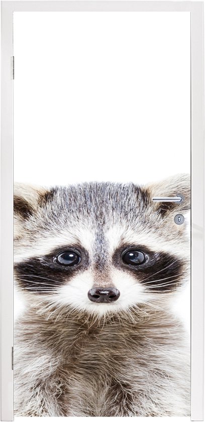 Sticker de porte Raton laveur - Animaux - Nature - Wit - 85x215 cm - Poster de porte