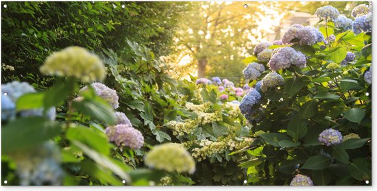 Affiche clôture Hortensias jaunes dans le jardin - 200x100 cm - Toile de jardin