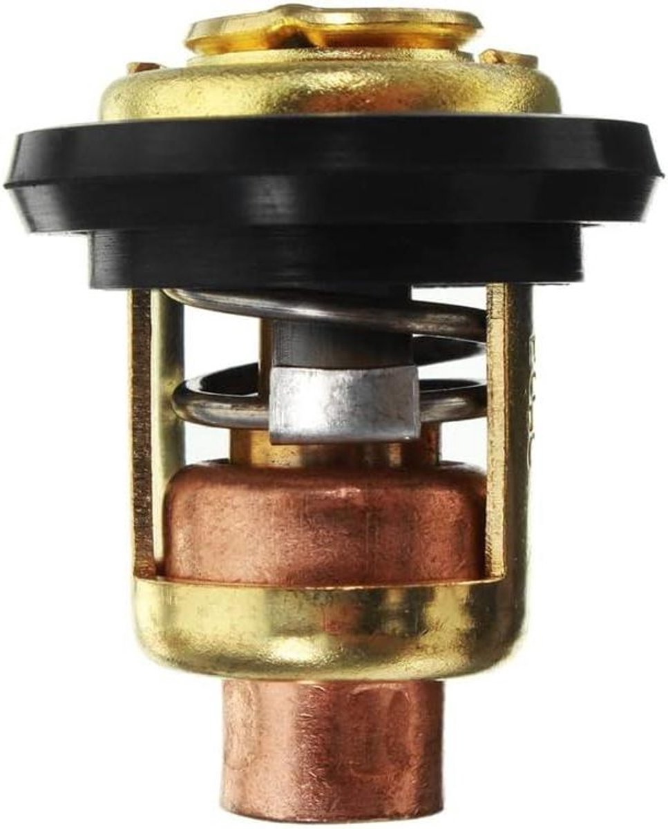 Allecto Plus - Externe thermostaat voor buitenboordmotoren - Compatibel met Yamaha Suzuki - 15 25 30 40 pk - 220 pk - Roestvrijstaal