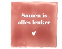 Gekleurd tegeltje - Samen is alles leuker - Roze - Handgemaakte tegel | Spreuktegel | Tegeltjes met Spreuken | Tegeltjeswijsheid | Tegeltje tekst | Origineel cadeau