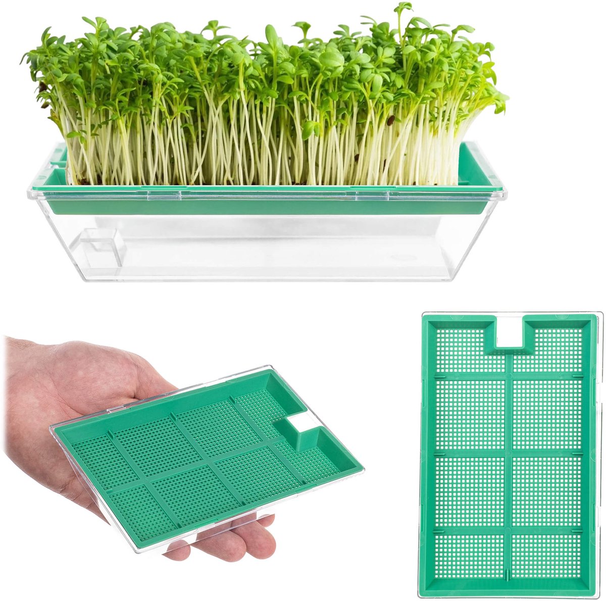 Clion sprouter klein 16 x 10 cm groen