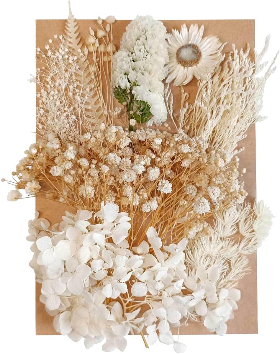 JGS Premium - Gedroogde bloemen bladeren mix voor knutselen haaraccessoires en nagelkunst met natuurlijke decoratieve kunstbloemen.