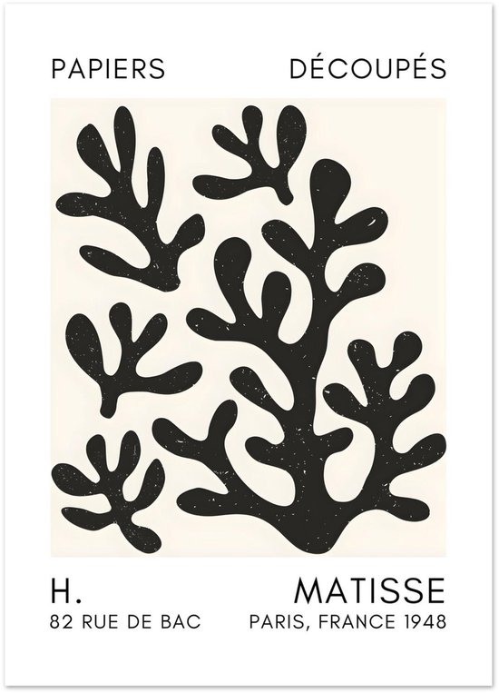 Matisse – Coral shadows black poster 50x70 cm / 20x28″