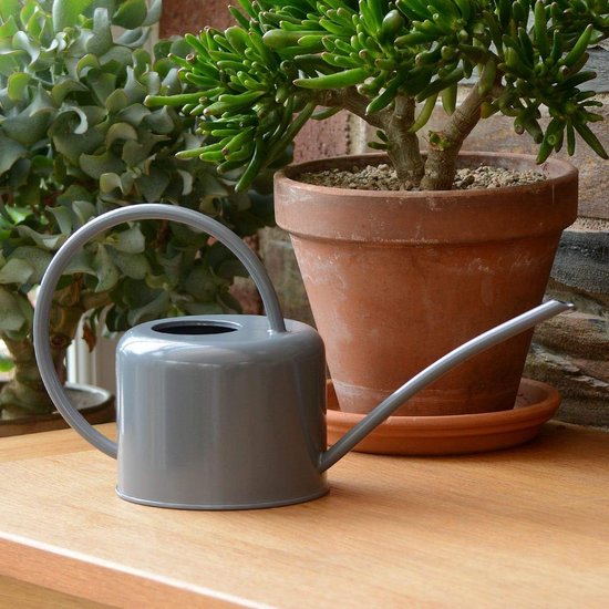 Gieter, 1 liter, mooie gieter met lange hals, voor het gieten en