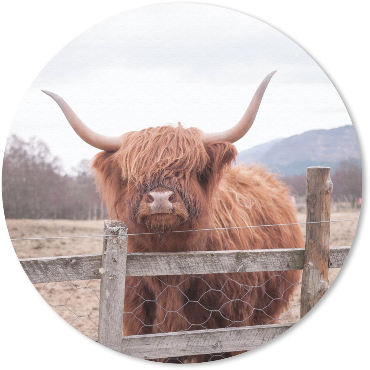 Muismat rond 40x40 cm - Mousepad Schotse Hooglander - Gras - Hek - Ronde muismatten