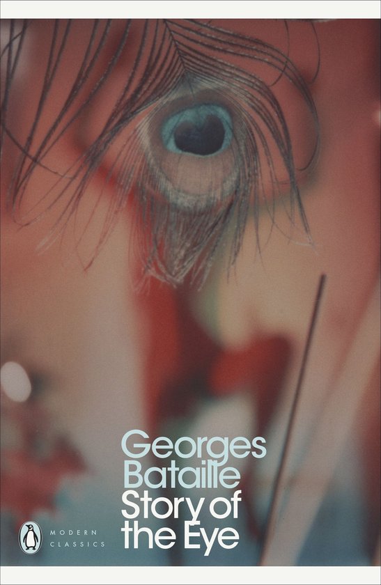Story of the Eye - cover