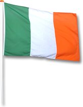 Vlag Ierland 20x30 cm.