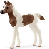 Schleich Pintabian Veulen