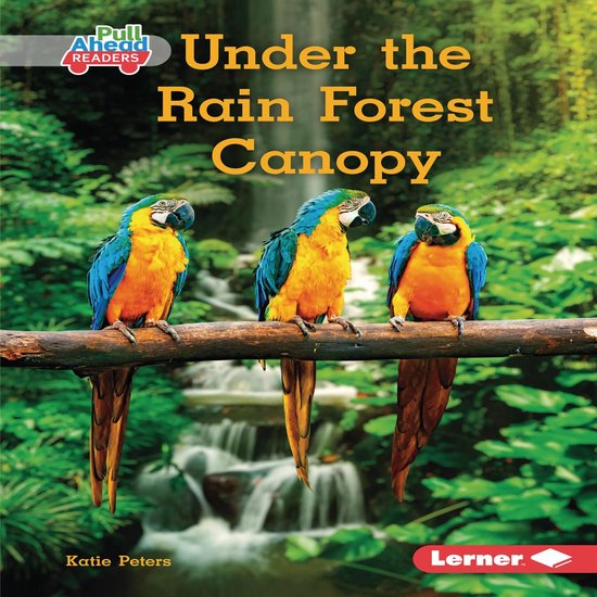 Under the Rain Forest Canopy - cover