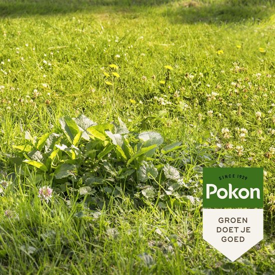 Pokon Onkruid Weg! - 2,4kg - Onkruidverdelger - Geschikt voor 120m² - Onkruidbestrijder van Merkloos	 — afbeelding 5