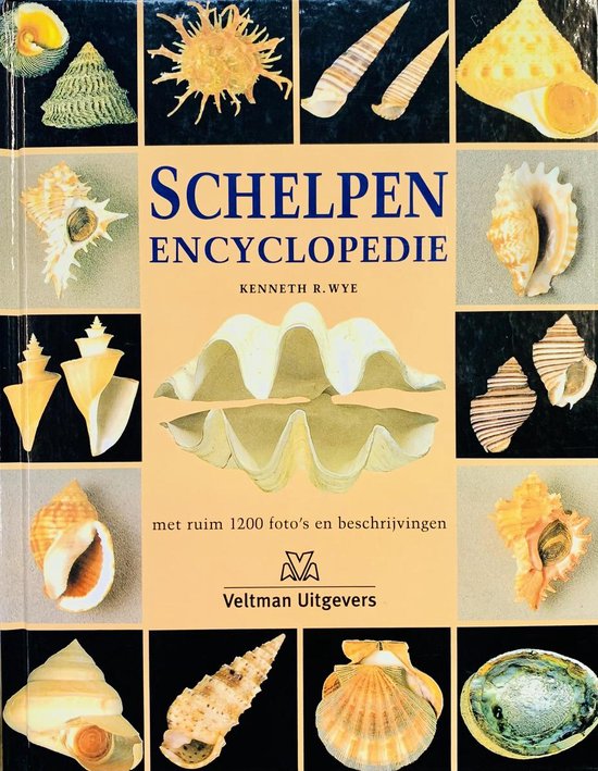 Cover van het boek 'Schelpen encyclopedie'