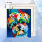 Schilderen op nummer pakket Regenboog hondje - 40 x 50 cm  - met frame