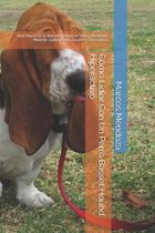 Como Lidiar Con Un Perro Basset Hound Hiperactivo