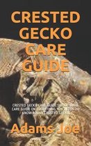 Crested Gecko Care Guide: Crested Gecko Care Guide