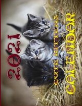 2021 Cute Kittens Calendar