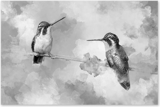Graphic Message Schilderij op Canvas Kolibrie Zwartwit - Vogels - Woonkamer