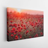 Beautiful field of red poppies in the sunset light. Russia, Crimea - Modern Art Canvas  - Horizontal - 527018350 - 40*30 Horizontal