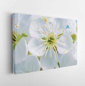 Onlinecanvas - Schilderij - Flowers Cherry Flowering Against The Background Flowers Art Horizontal Horizontal - Multicolor - 30 X 40 Cm