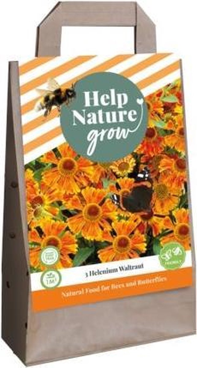 1 Tas 3 Helenium Waltraut - Help Nature Grow