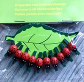 Houten knijpers met lieveheersbeestje donker-groen 10 stuks