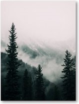 Hoge bomen in het bos in de bergen bedekt met de mist - 50x70 Forex Staand - Besteposter - Landschap