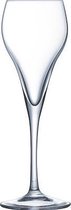 Brio champagneglas - champagneglazen - 16cl - 6 stuks