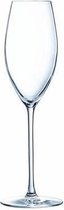 Grand chais champagneglas - champagneglazen - 24cl - per stuk