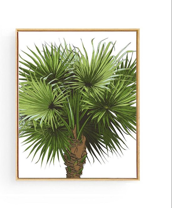 Poster Tropische kokosnootboom
