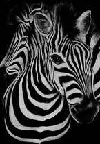Poster zwart/wit - Zebra - Wandposter 60 x 40 cm - poster dieren