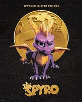 Pyramid Spyro Golden Dragon  Poster - 40x50cm