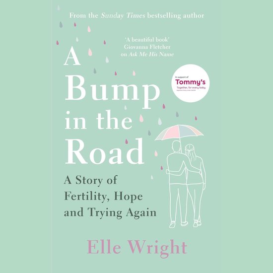 A Bump in the Road - cover