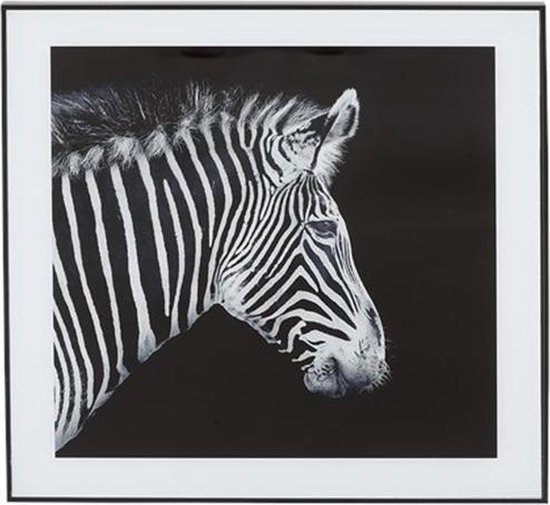 Picture In Frame Zebra - Zwart / Wit - Glas / Plastique - 50 x 50 cm