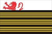 Vlag gemeente Eersel 100x150 cm