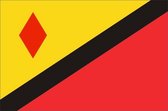 Vlag gemeente Stein 200x300 cm