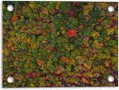 Tuinposter – Gekleurde Bomen van Bovenaf - 40x30cm Foto op Tuinposter  (wanddecoratie voor buiten en binnen)