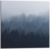 Dibond - Mist in de Bossen - 50x50cm Foto op Aluminium (Met Ophangsysteem)