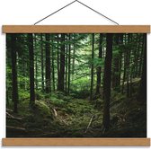 Schoolplaat – Groen Bos - 40x30cm Foto op Textielposter (Wanddecoratie op Schoolplaat)