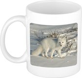 Dieren foto mok poolvos - vossen beker wit 300 ml