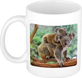 Dieren foto mok koala - koalaberen beker wit 300 ml