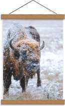 Schoolplaat – Buffel in de Sneeuw - 30x40cm Foto op Textielposter (Wanddecoratie op Schoolplaat)
