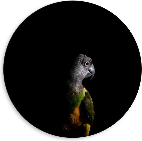Dibond Wandcirkel - Gekleurde Vogel met Schaduw - 80x80cm Foto op Aluminium Wandcirkel (met ophangsysteem)